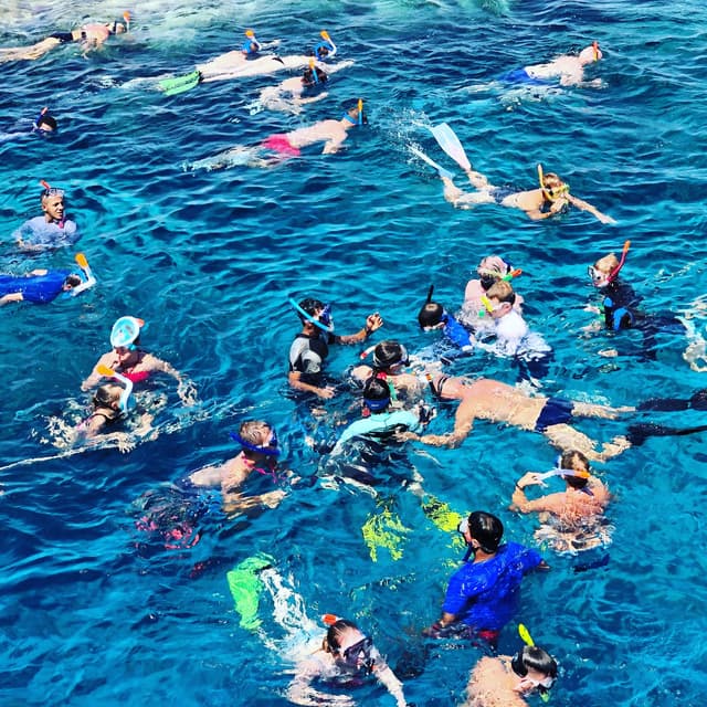 Snorkeling Adventure